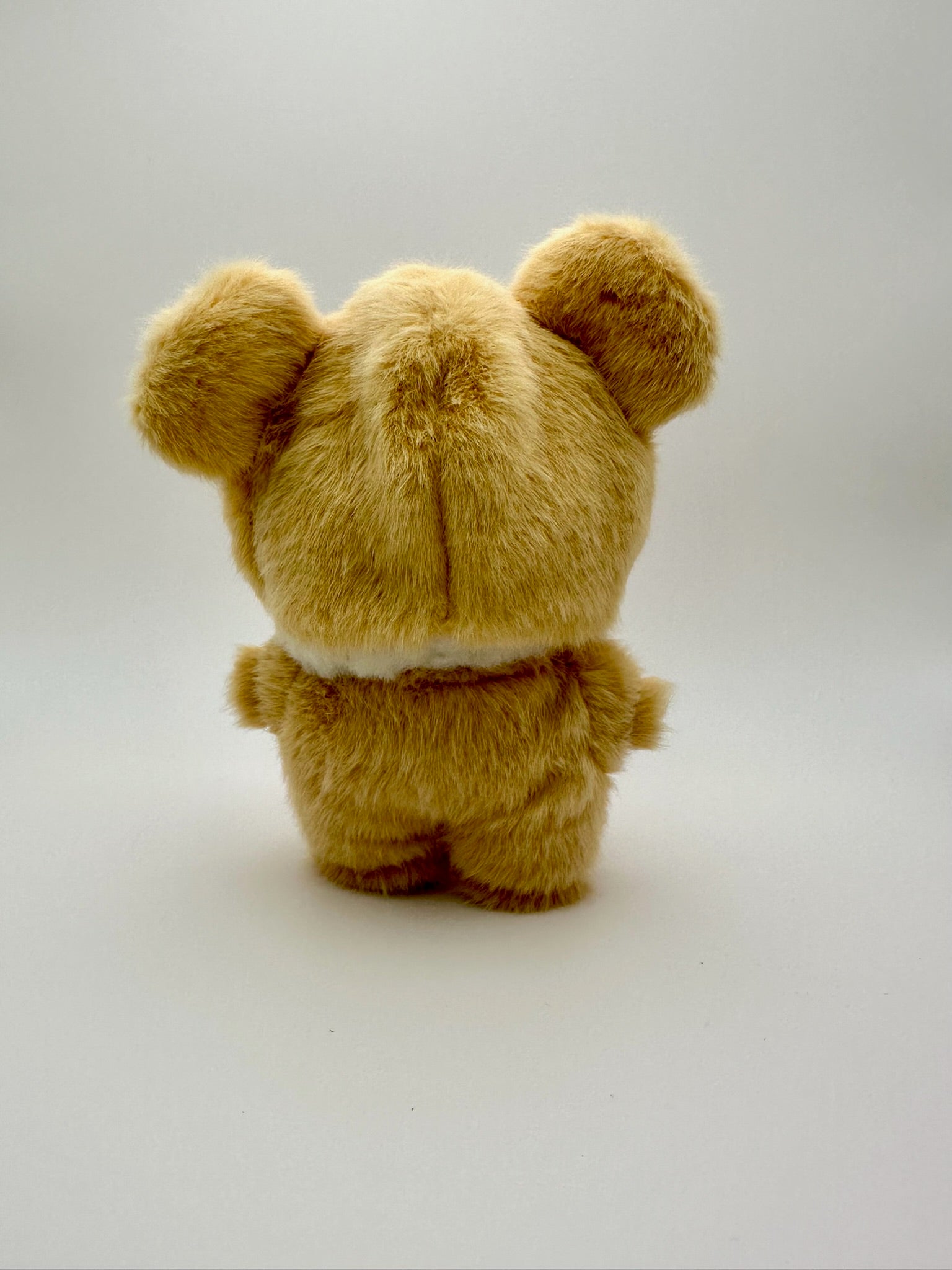 Cutie Bear
