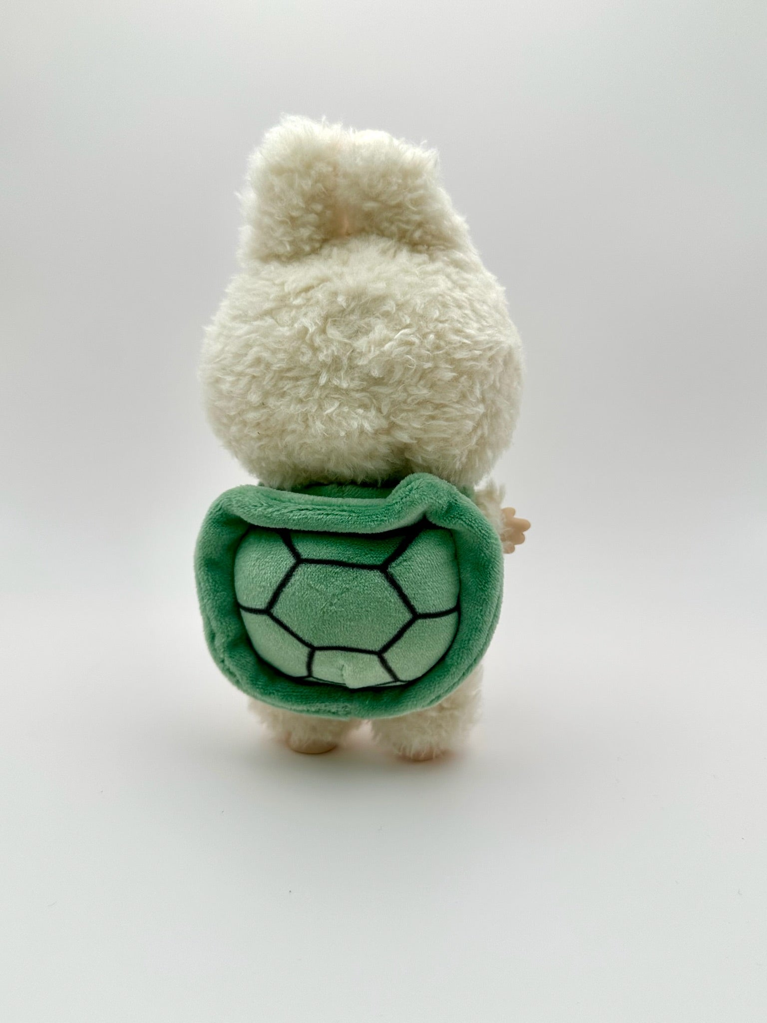 Turtle Shell