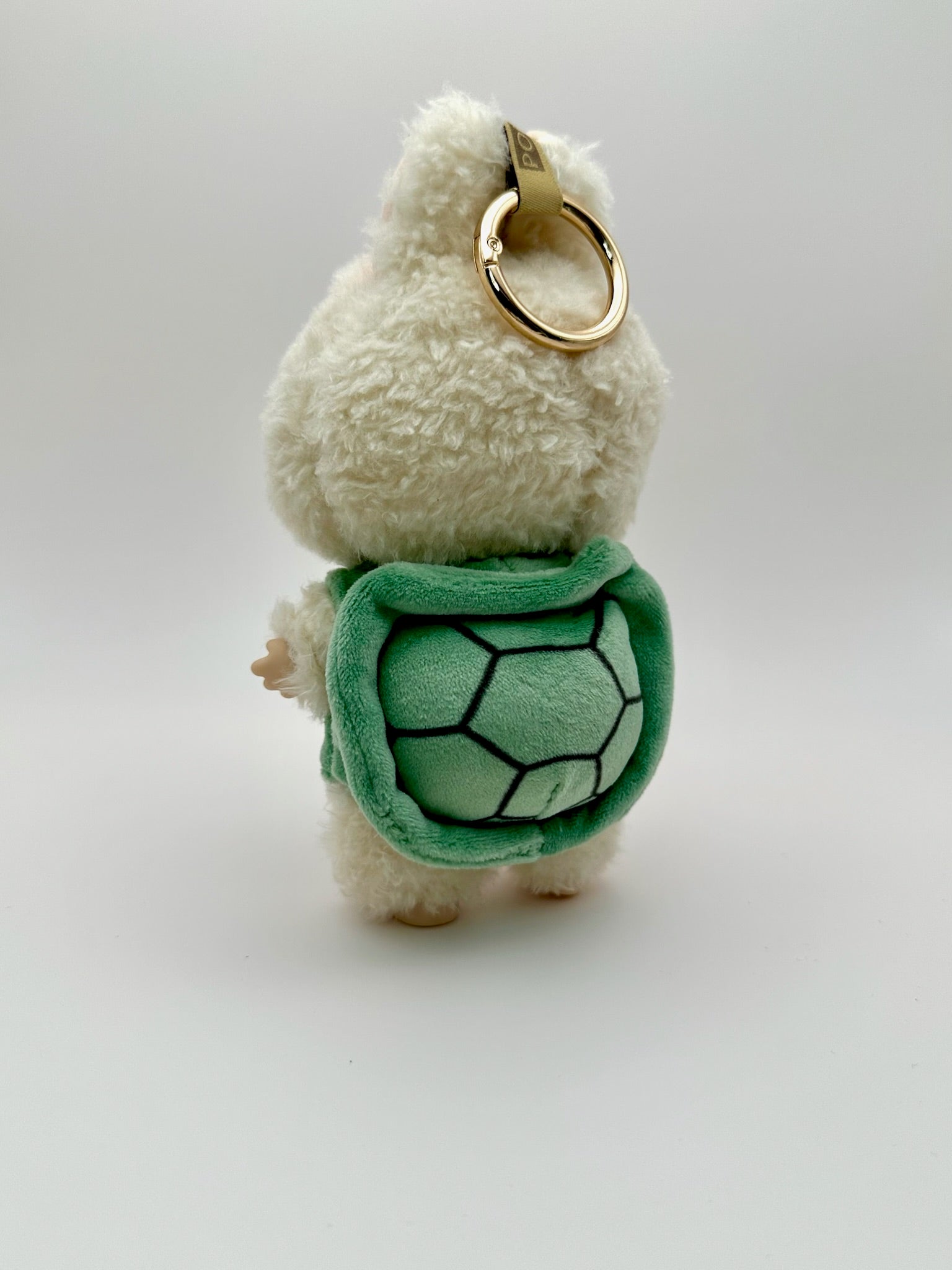 Turtle Shell