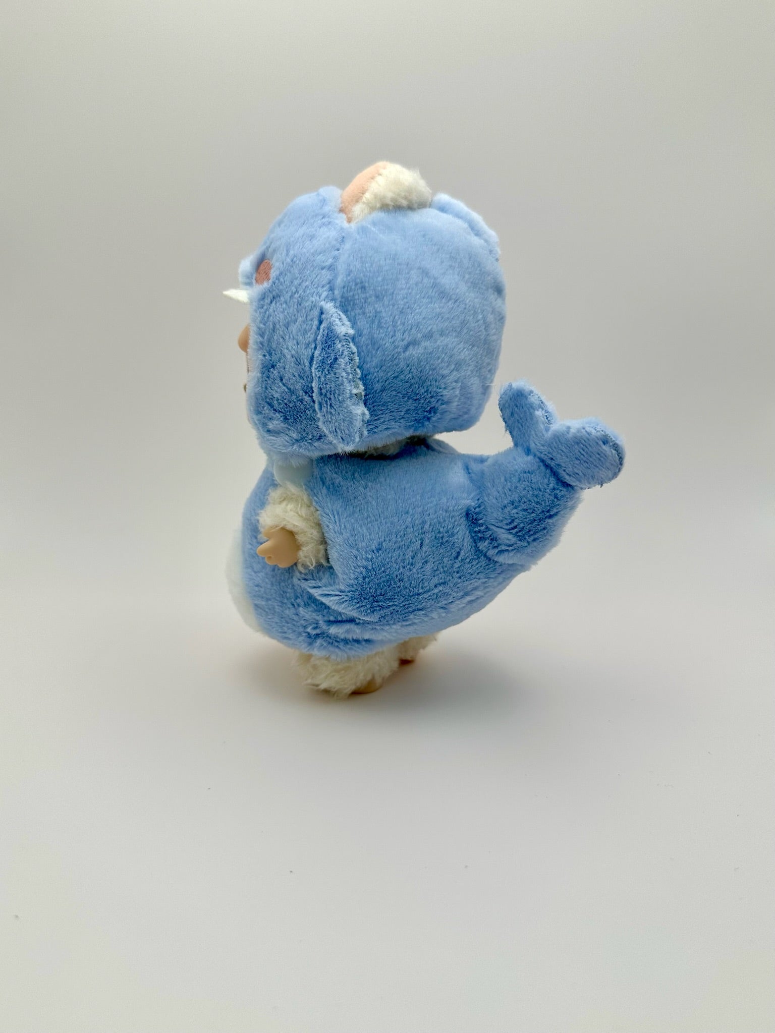 Blue Shark